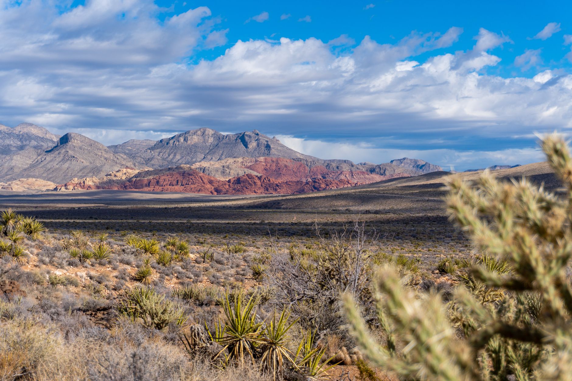 Why Americore Resources Corp. stock is skyrocketing today
