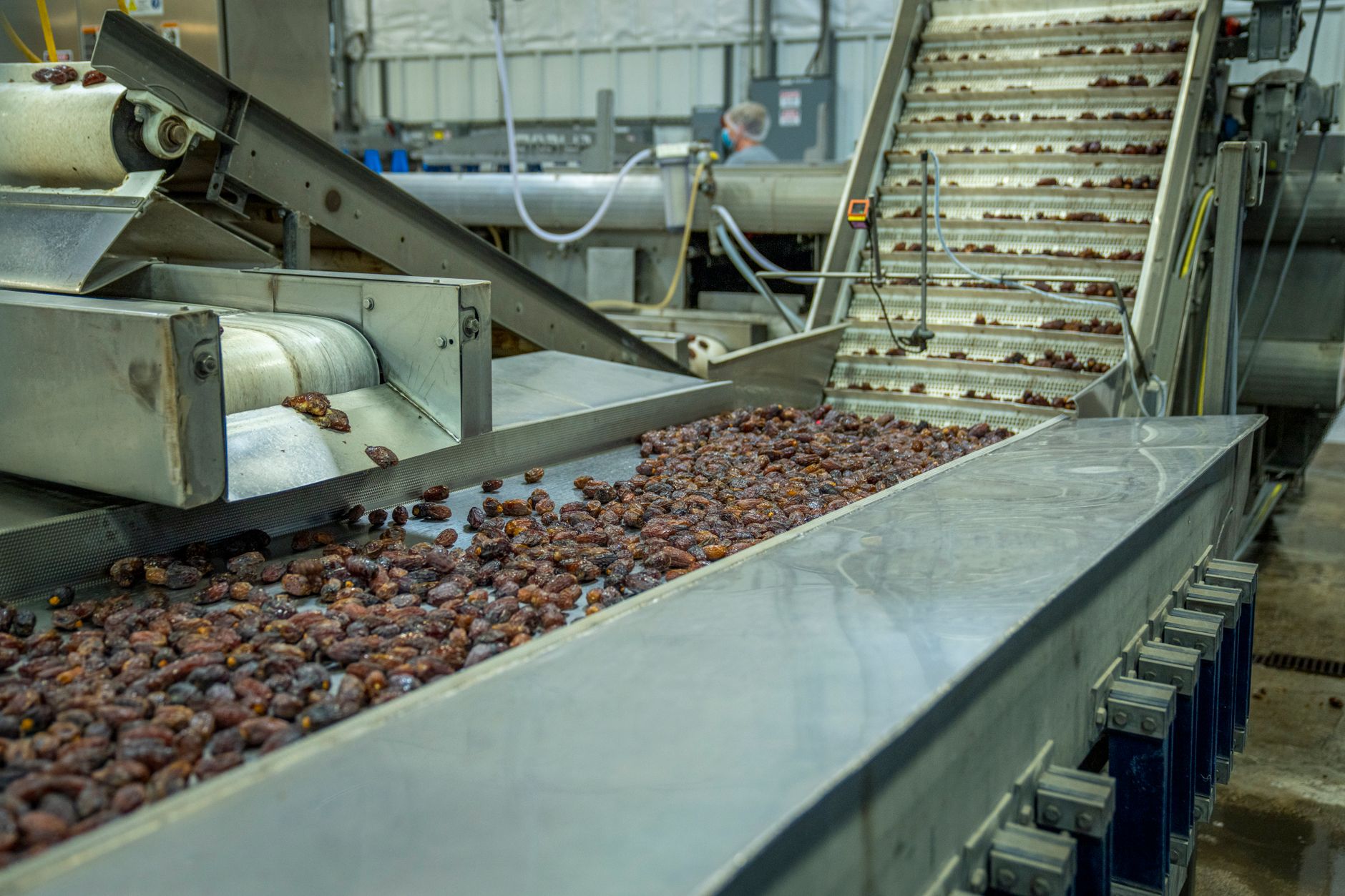 Why Canada Packers Inc. stock is tanking today