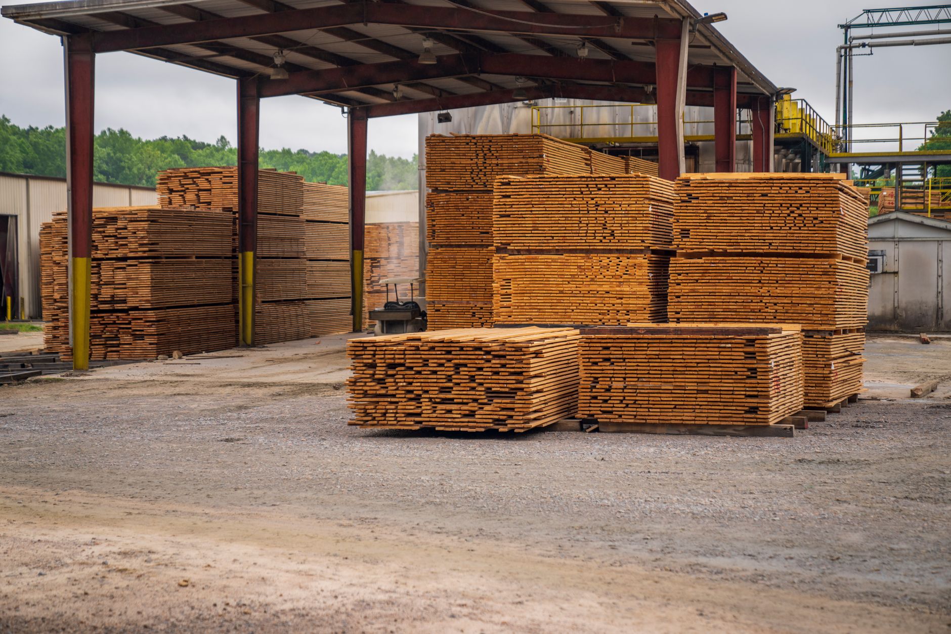 Why Conifex Timber Inc stock surged yesterday