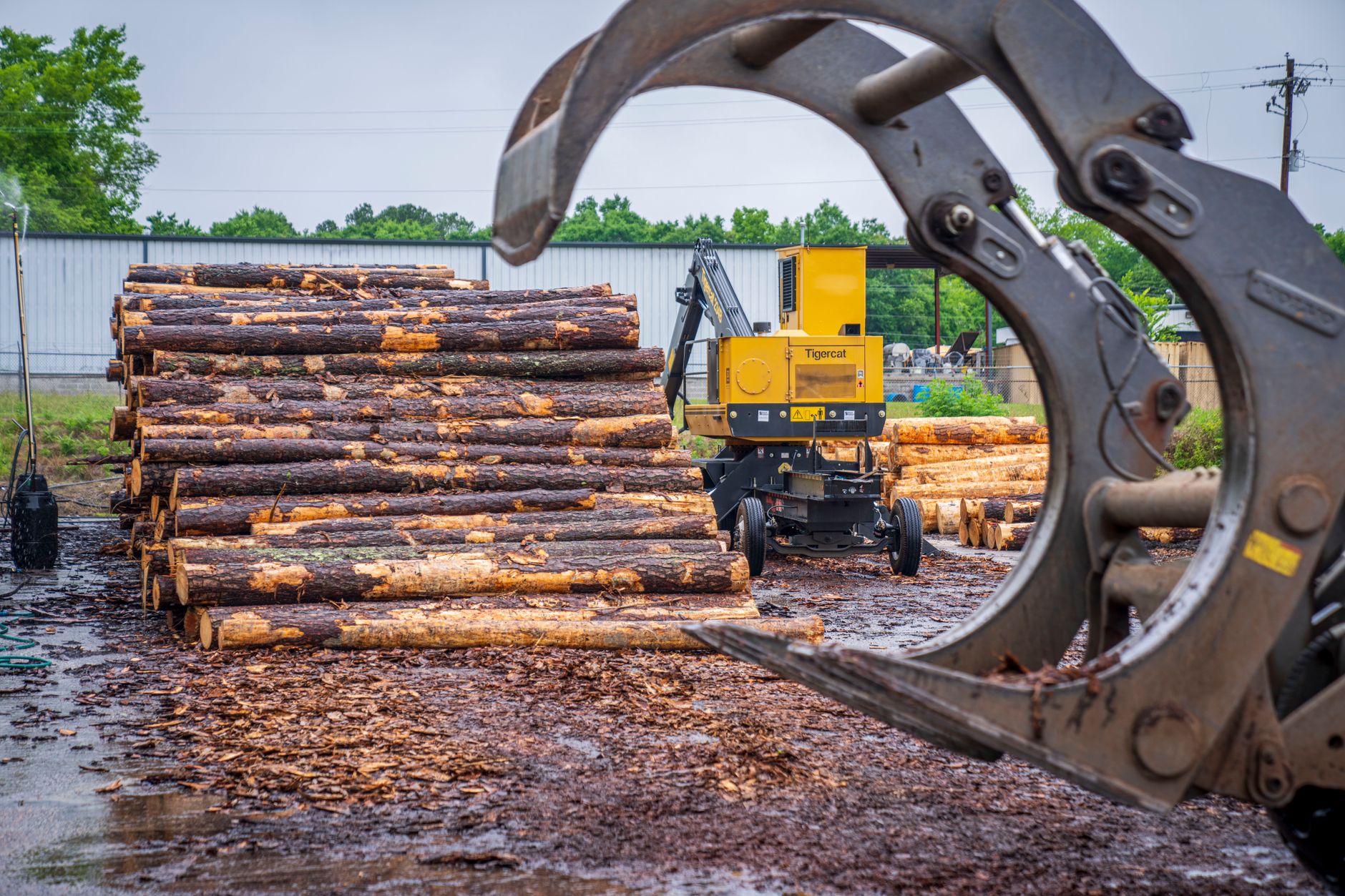 Why Conifex Timber Inc stock plummeted yesterday