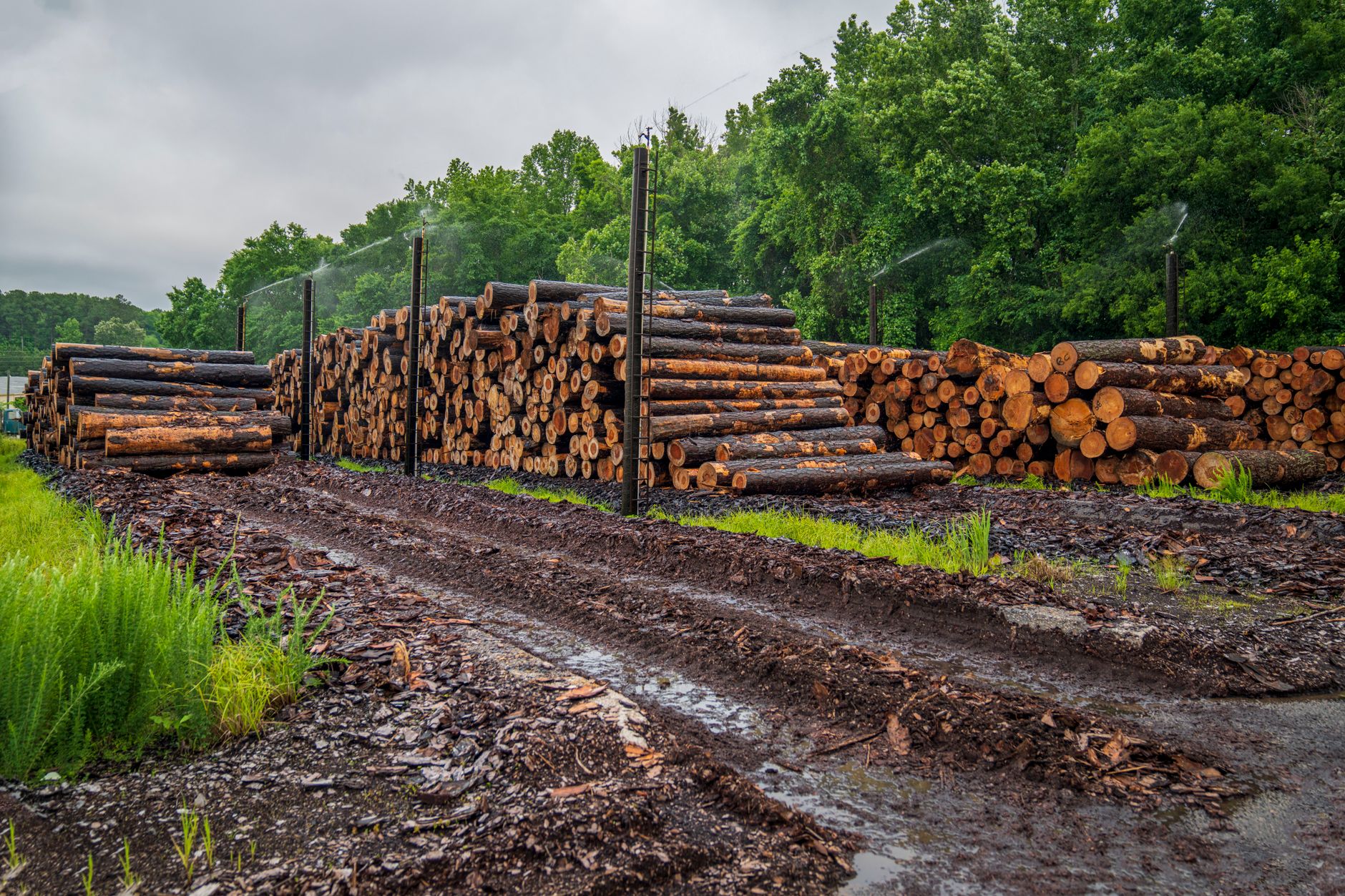 West Fraser Timber Co Ltd WFG Earnings Miss Estimates by 34.2%