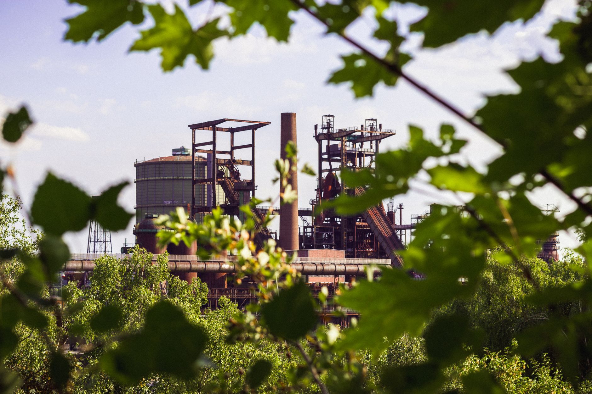 Why CLEANTEK Industries Inc stock is skyrocketing today