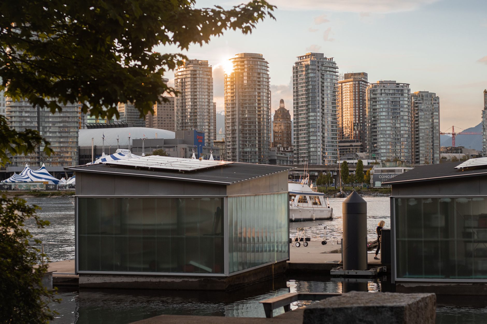 Telus Corp (T.TO) Sees 1-Week Decline Amid Leadership Transition