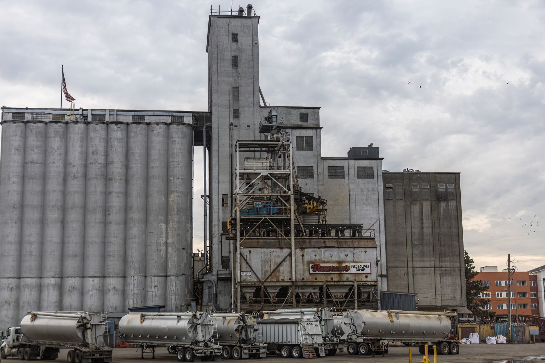 What's Going On With Ag Growth International Inc Stock Monday?