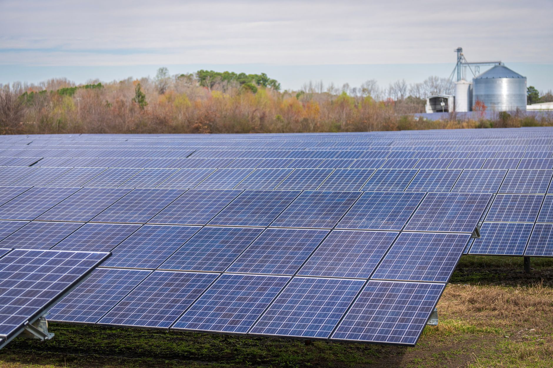 Why Tidewater Renewables Ltd stock surged yesterday