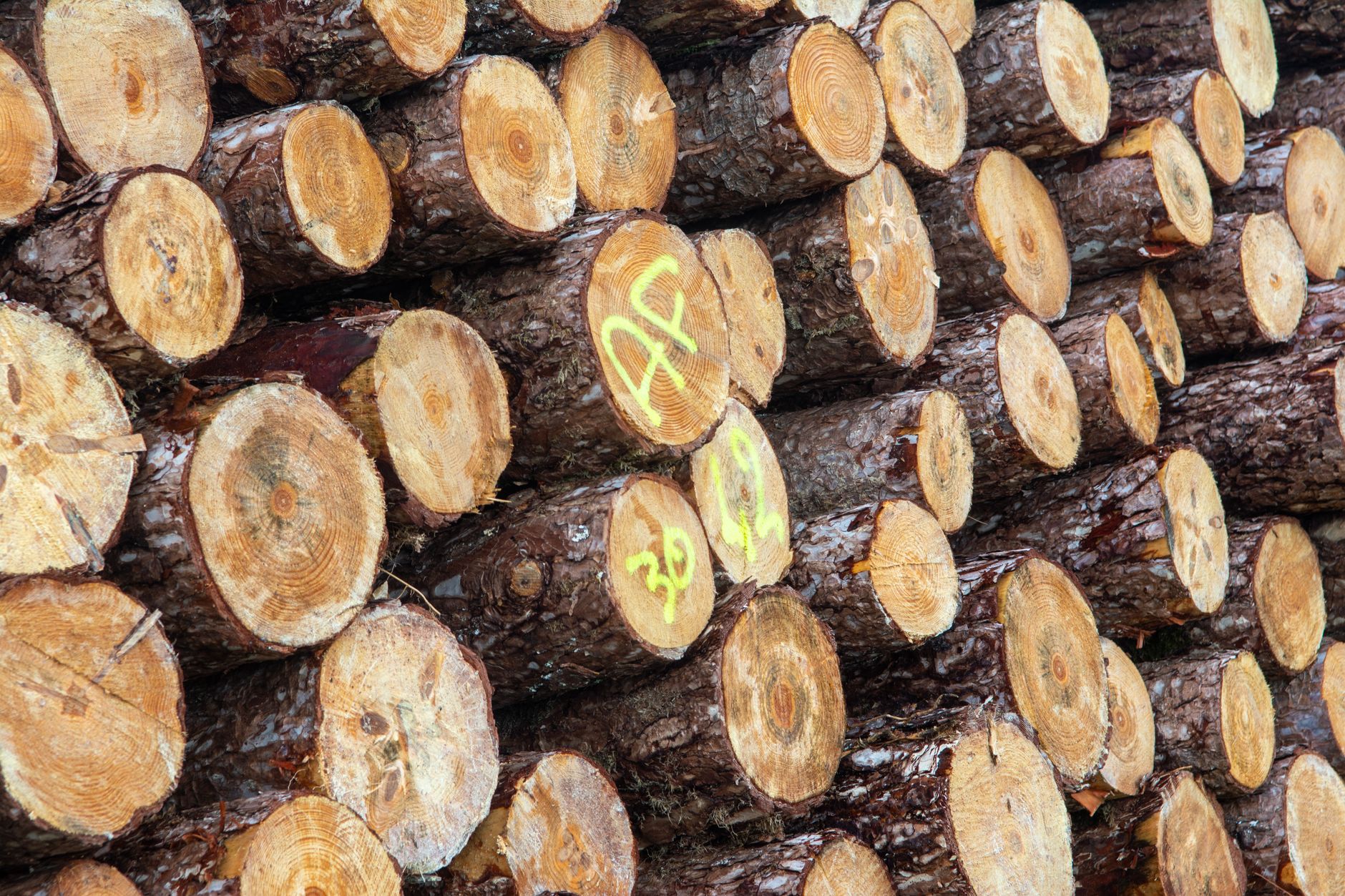 Why EcoSynthetix Inc stock is plummeting today