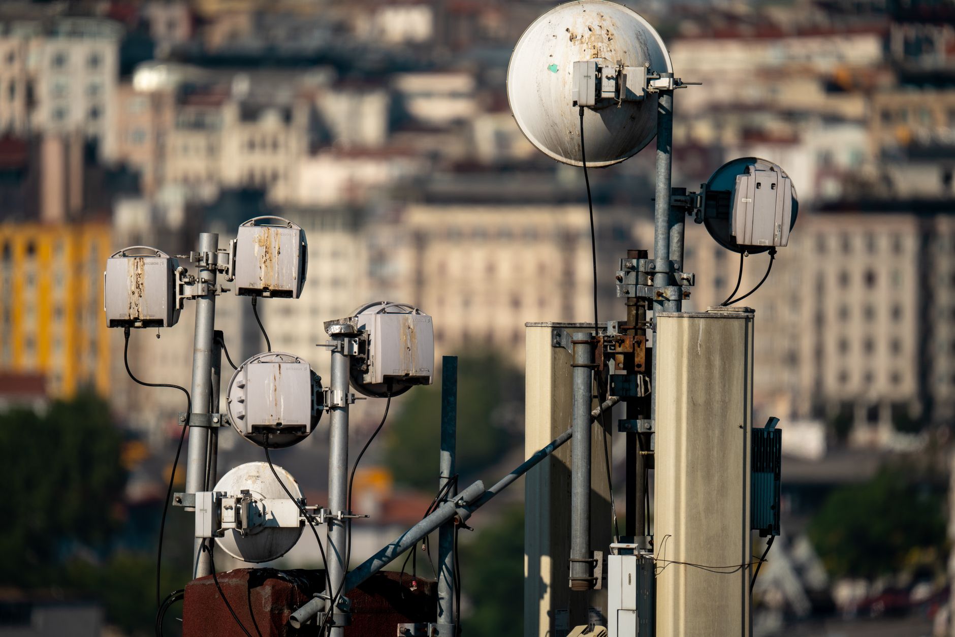Why Telus Corp stock is sliding today