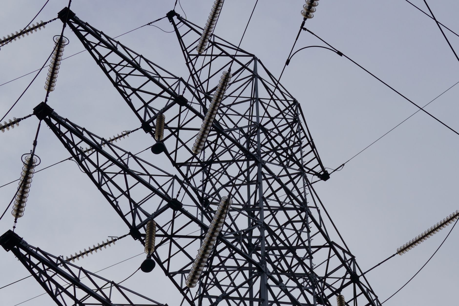 Hydro One Appoints Megan Telford as New CEO Amid Board Restructuring