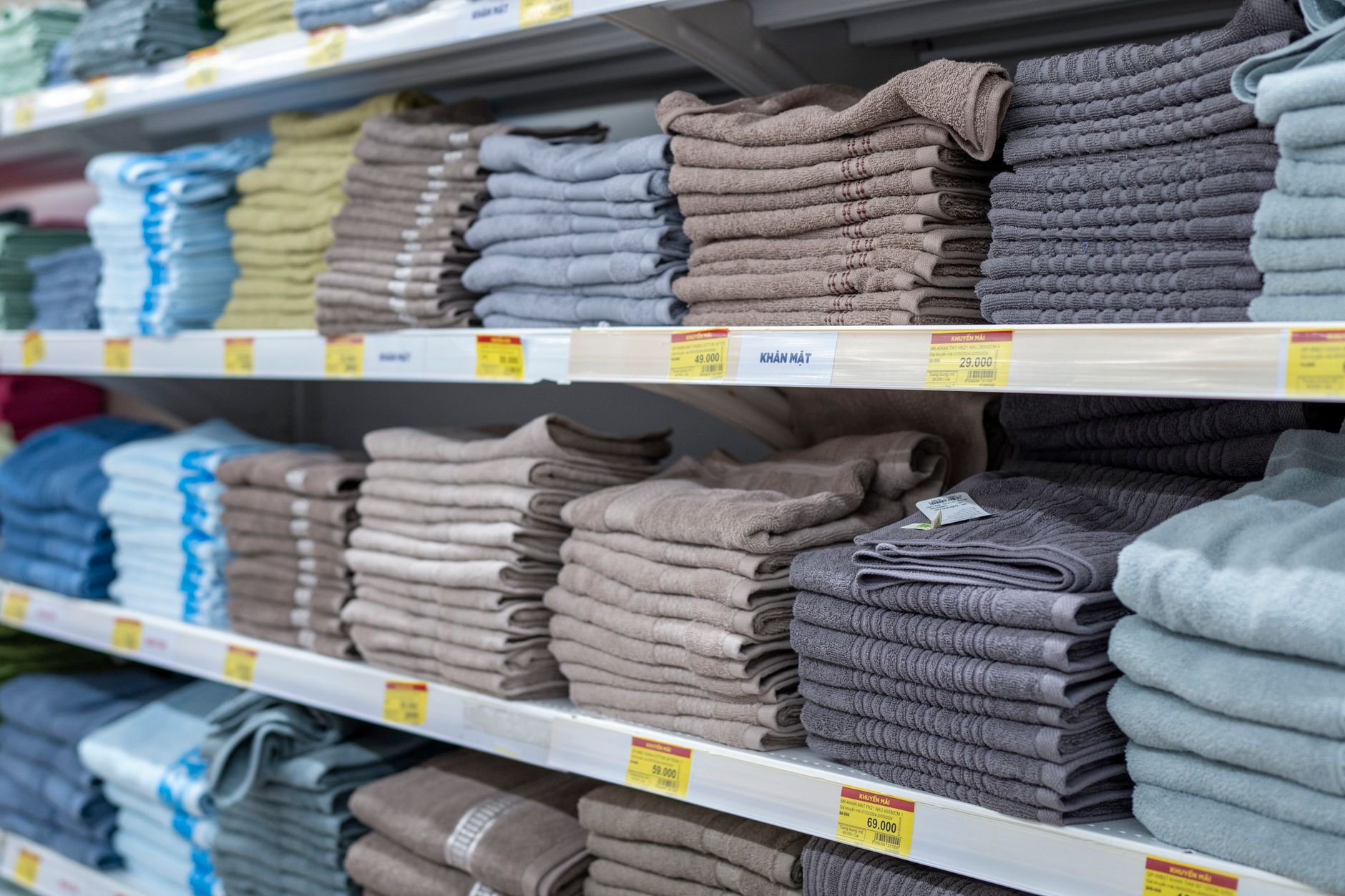 How Are Investors Reacting to Dollar Tree's Core-Shoppers Squeeze Headline?