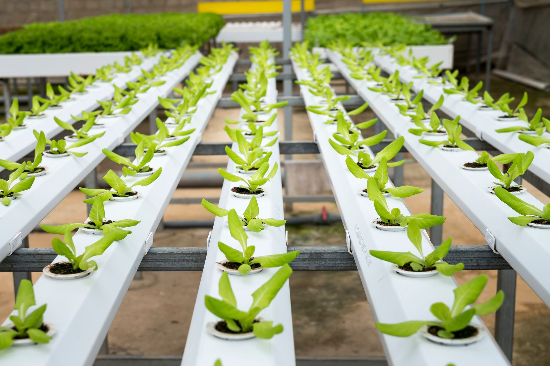 What's Going On With CubicFarm Systems Corp Stock Thursday?