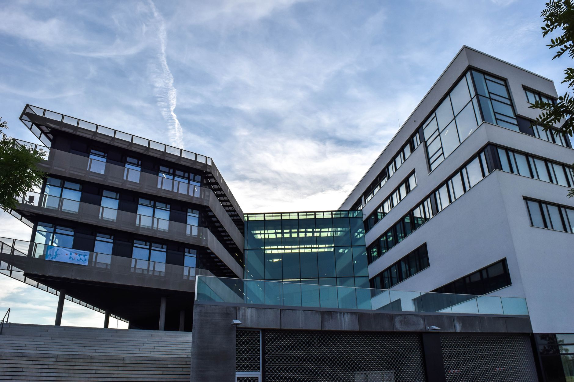 What Amgen's Rare Disease Updates Mean for Investors