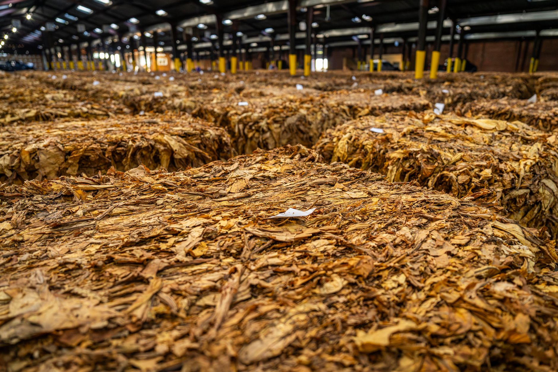 Why Century Global Commodities Corp stock surged yesterday