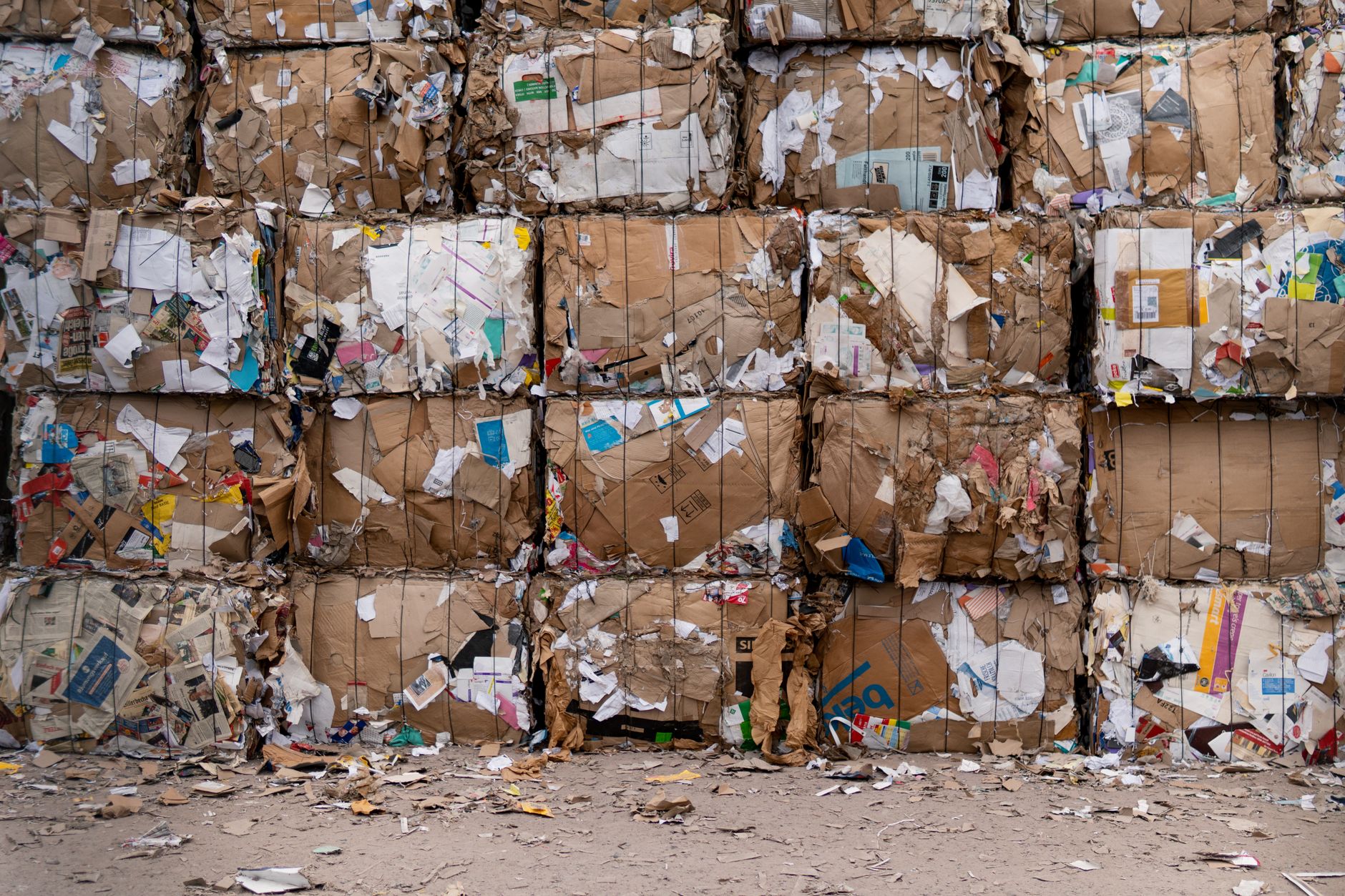 Why Northstar Clean Technologies Inc stock is plummeting today