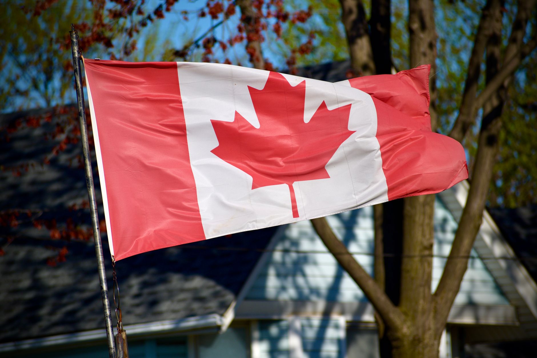 What the 2-Year Bond Auction Says About Canada's Economic Outlook