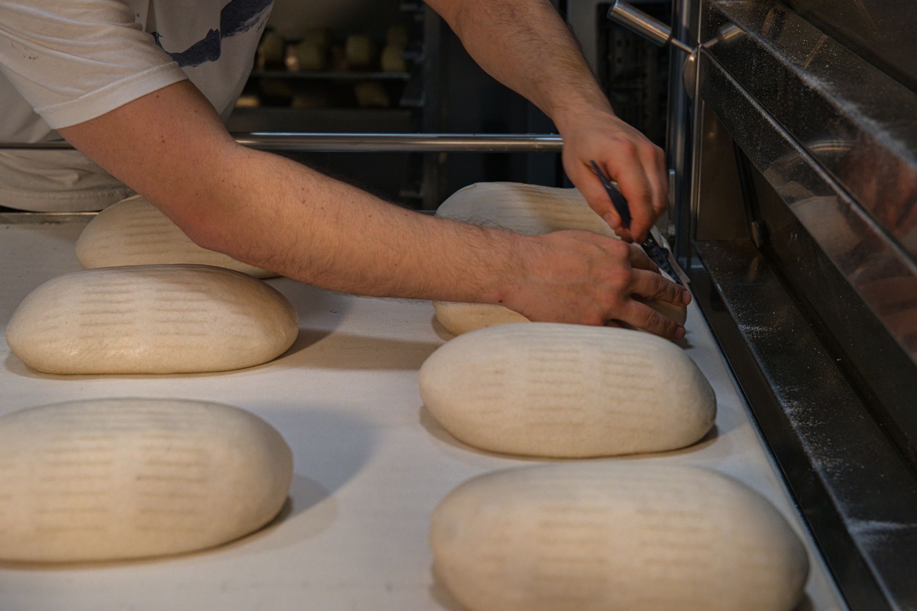 Why Purebread Brands Inc. stock plummeted yesterday