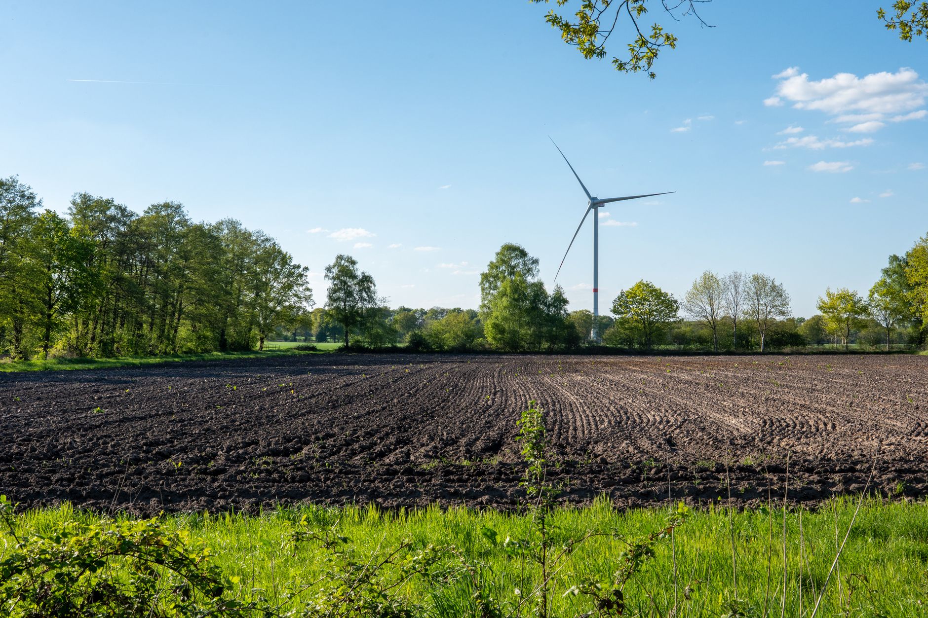 Why Tidewater Renewables Ltd stock is rising today