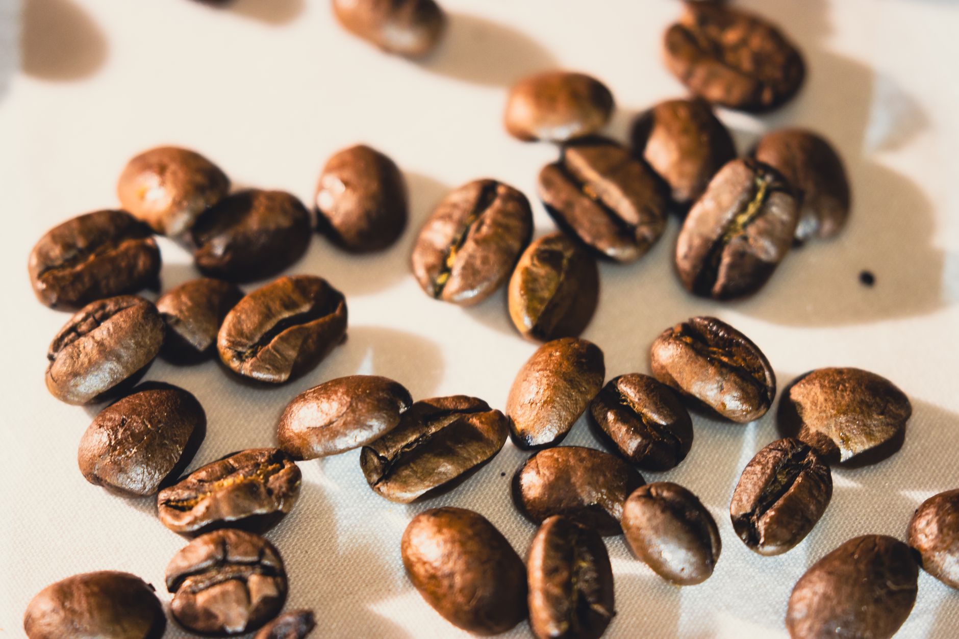 Why Swiss Water Decaffeinated Coffee Inc stock is rising today