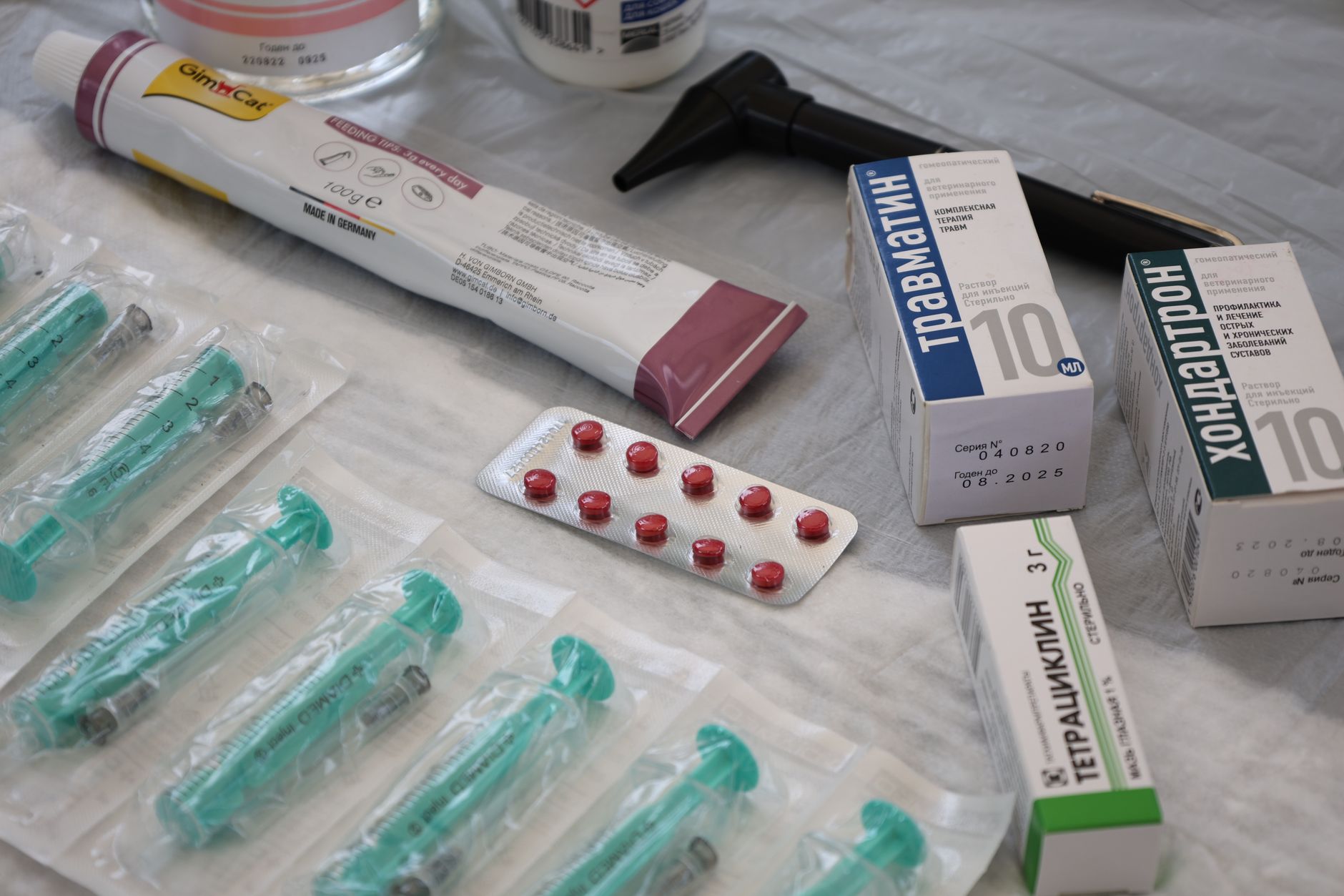 Apotex Health Corp. (APTX.TO) Gains 10% This Week — What’s Driving the Surge?