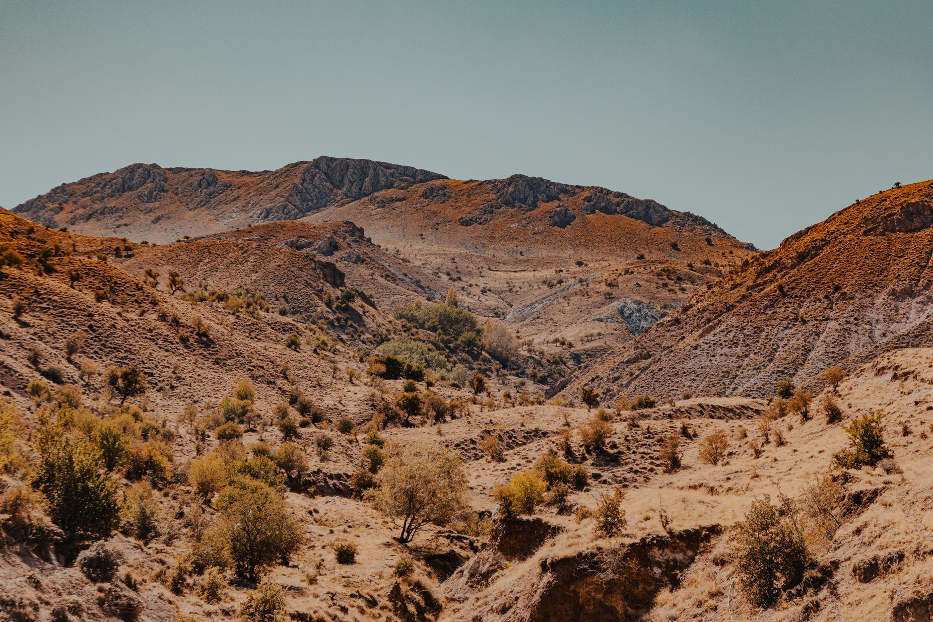Southern Cross Gold Is Down 13.3% This Week. What's Behind the Move?