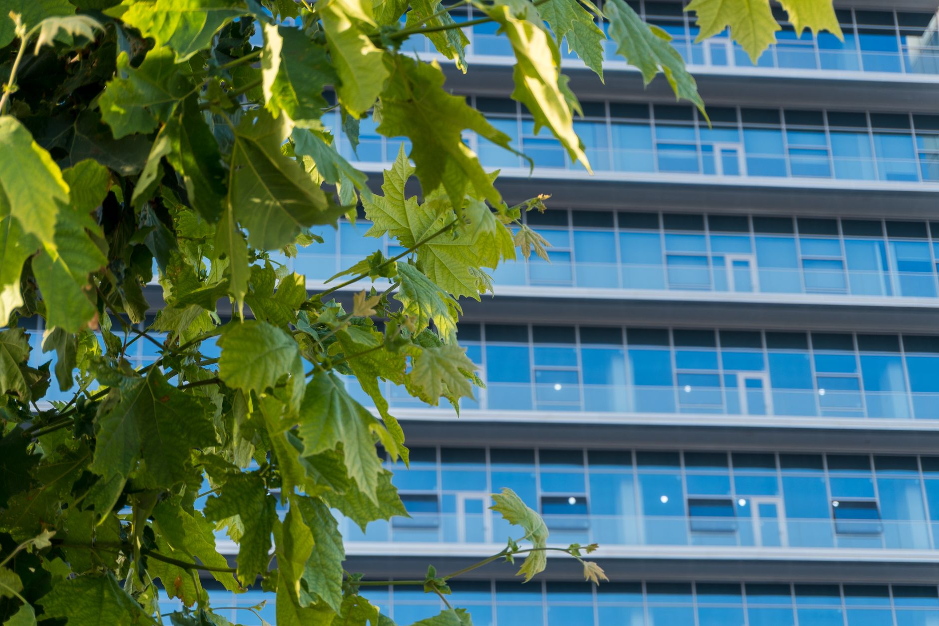 Tower Semiconductor’s Earnings-Power Question: What Investors Should Know