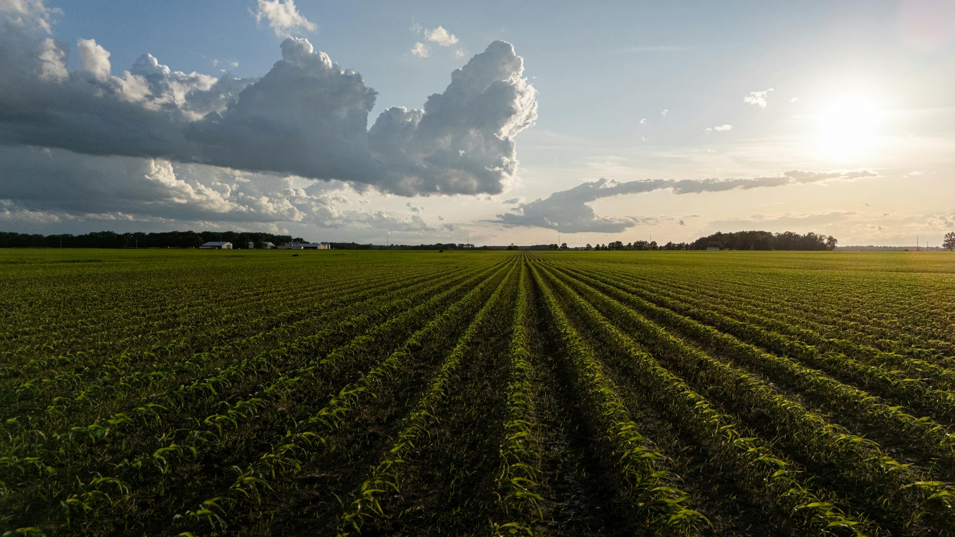 Why Verde Agritech PLC stock is plummeting today