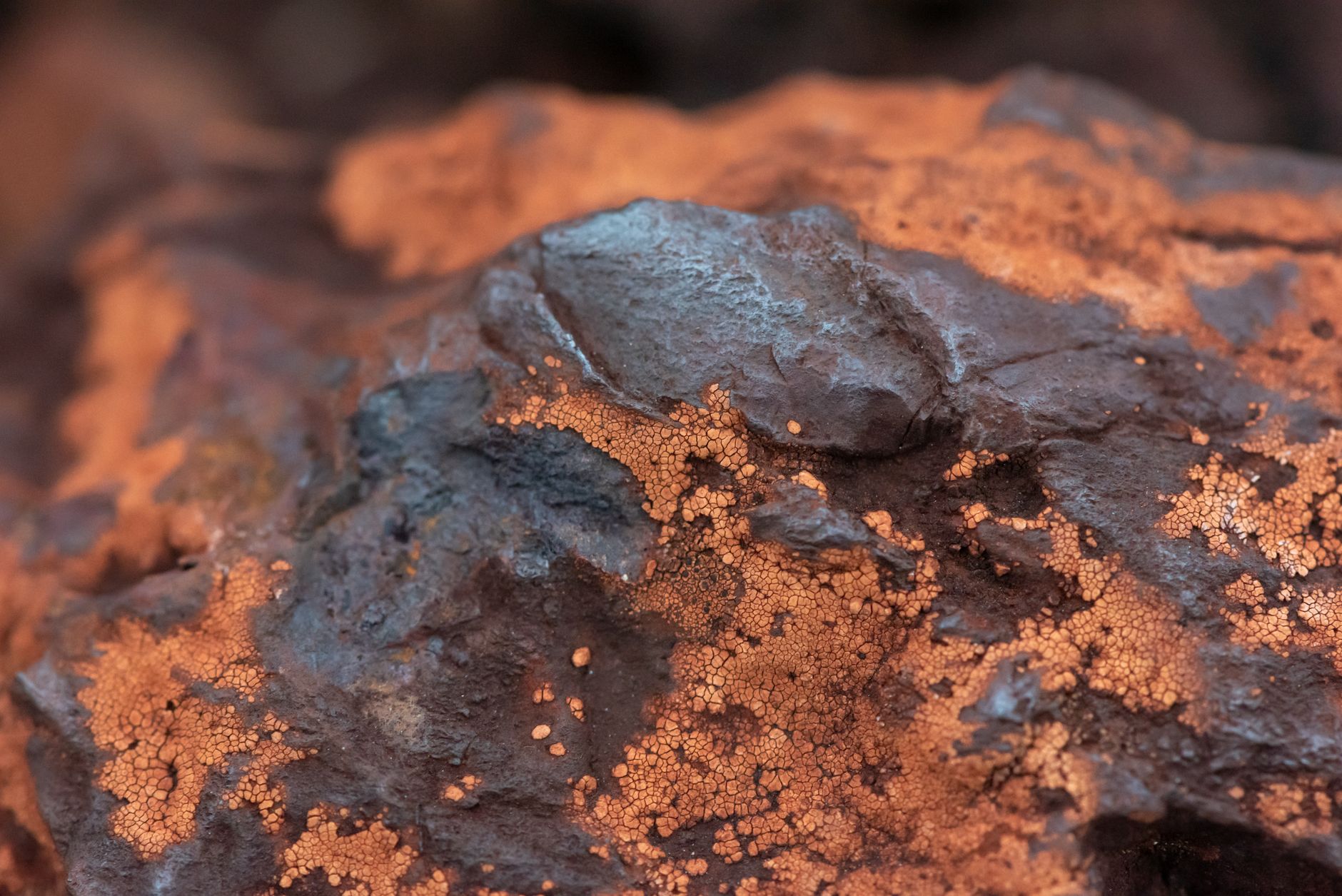 What to Expect from Condor Resources' Upcoming Earnings Report on July 2, 2026