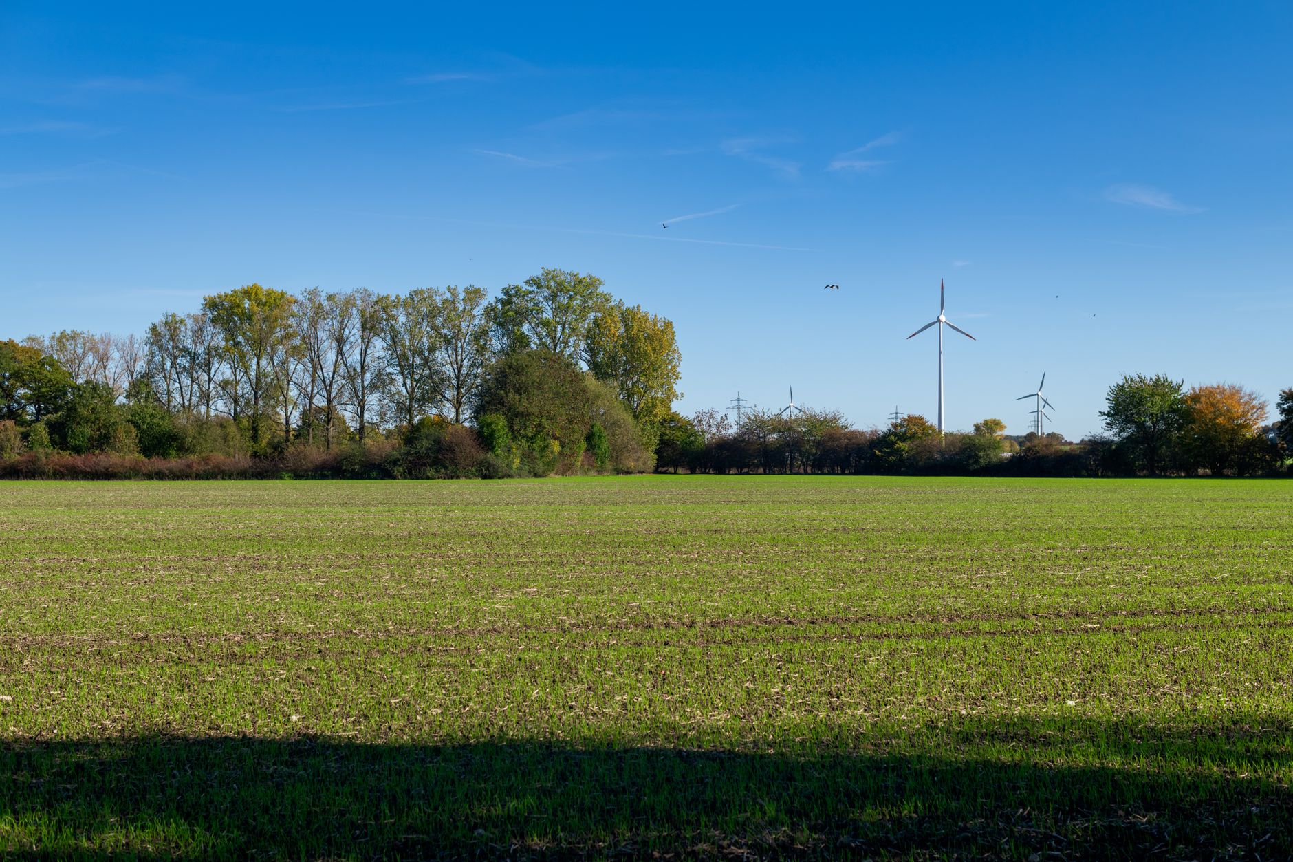 Why Brookfield Renewable Corp stock is rising today