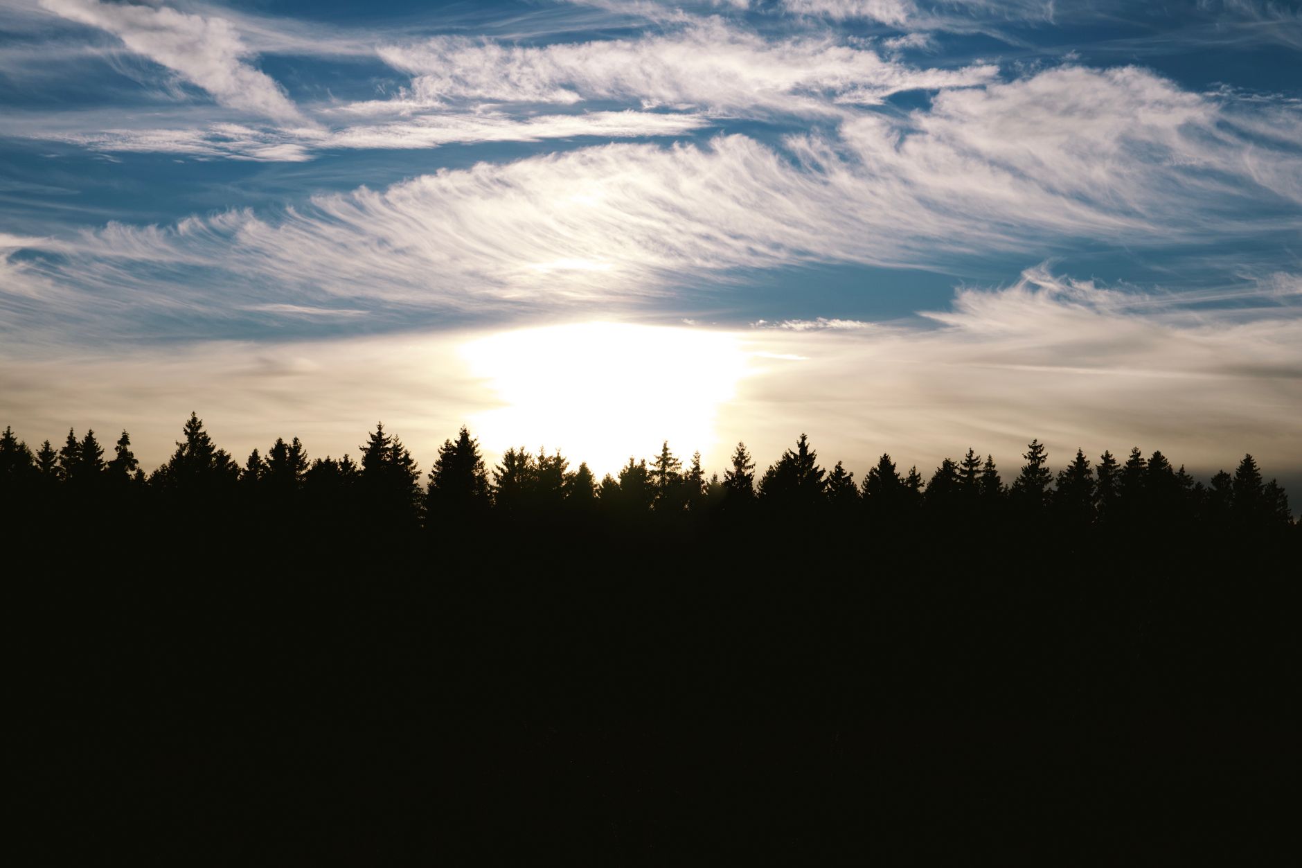 Why White Pine Resources Inc. stock surged yesterday