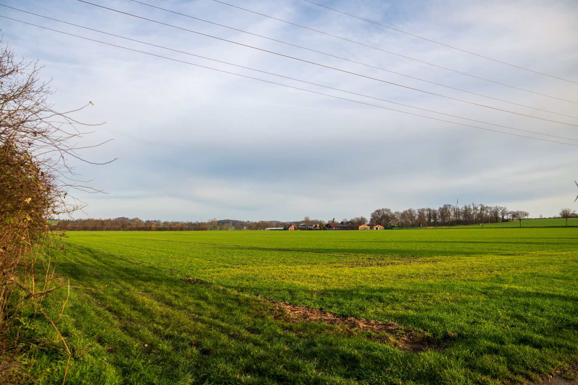 Why Green Rise Capital Corp stock is skyrocketing today
