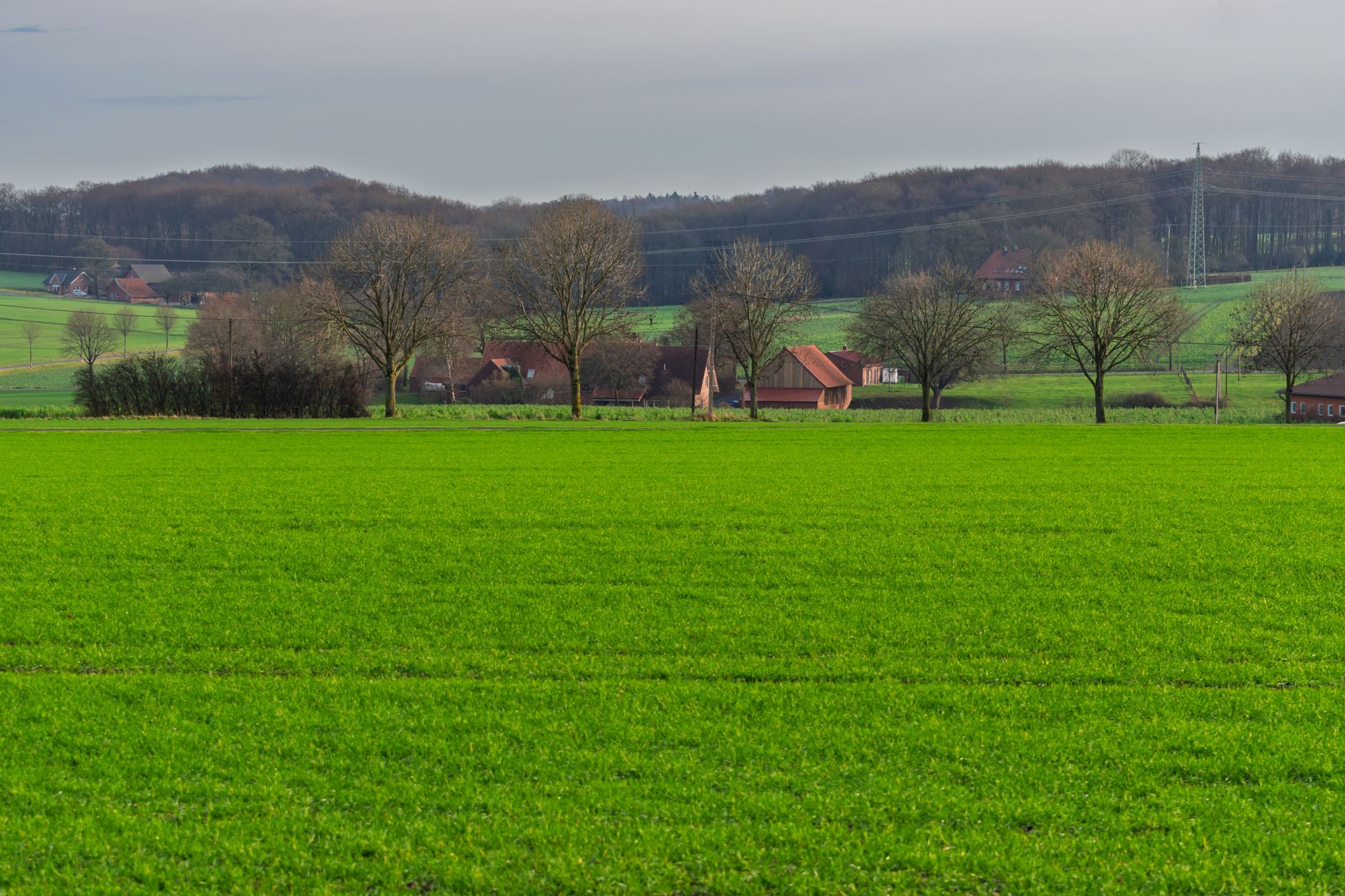 Why Verde Agritech PLC stock is sliding yesterday