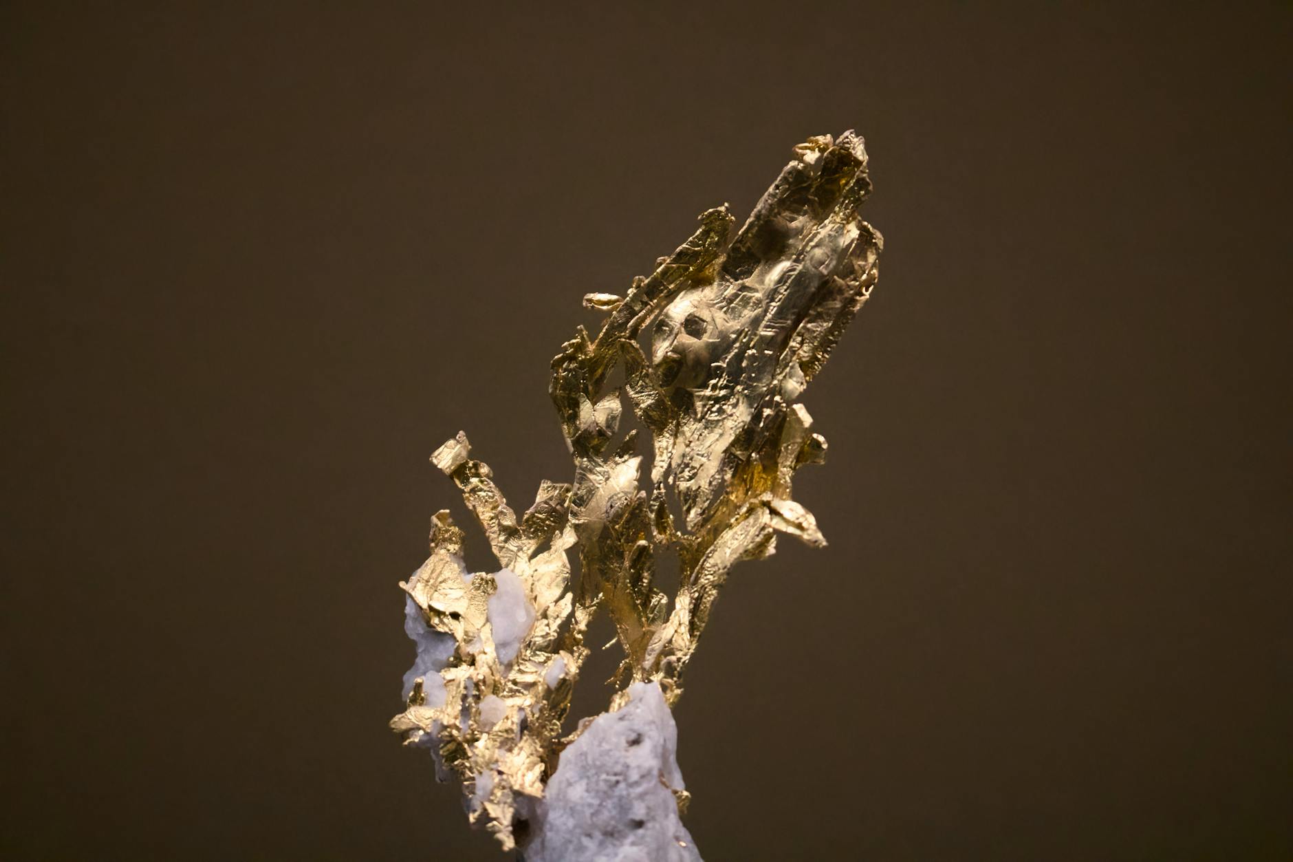 Southern Cross Gold Soars 5% in Last Session — What’s Behind the Surge?