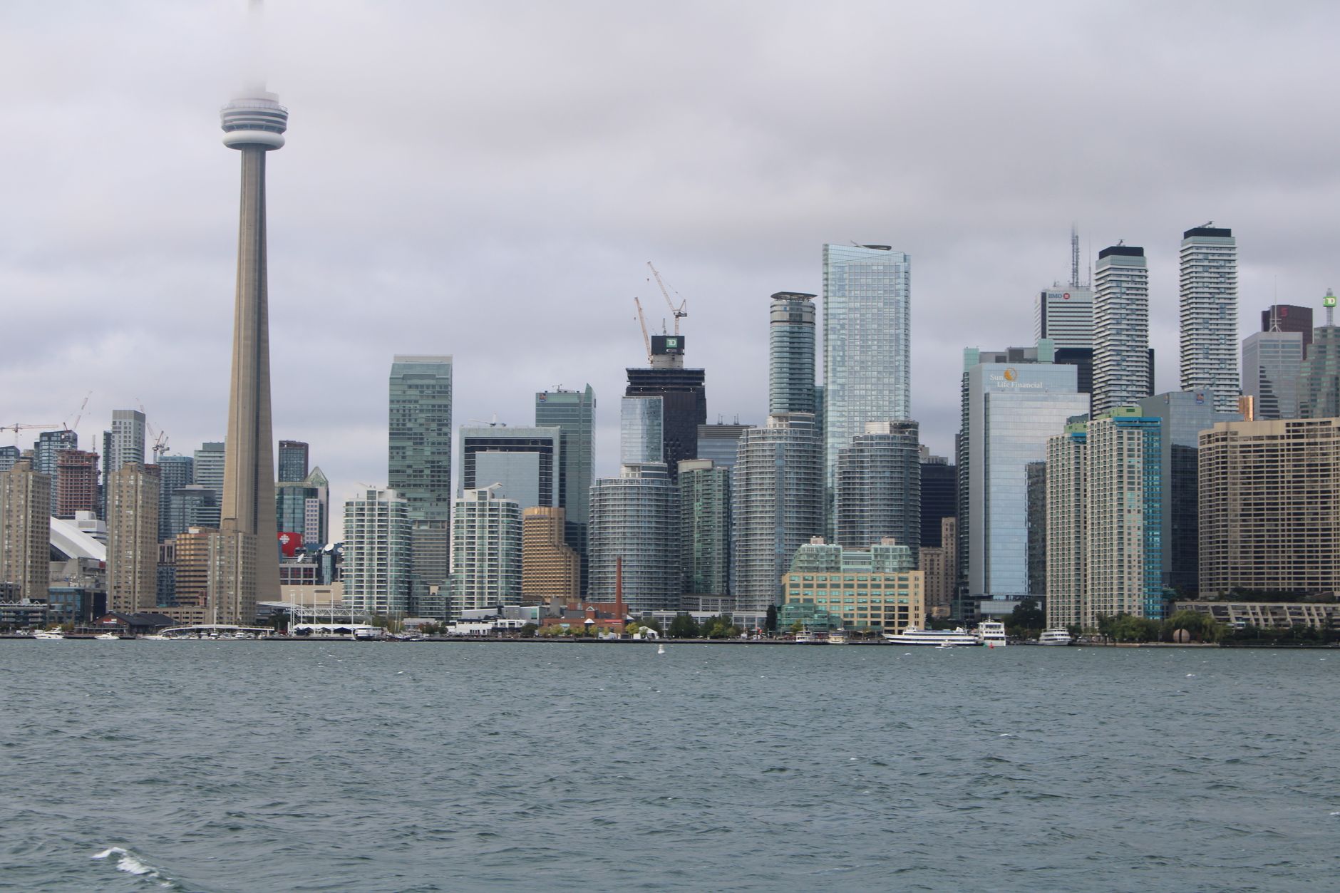 A Week of Losses for Toromont Industries: What the Chart and the News Say