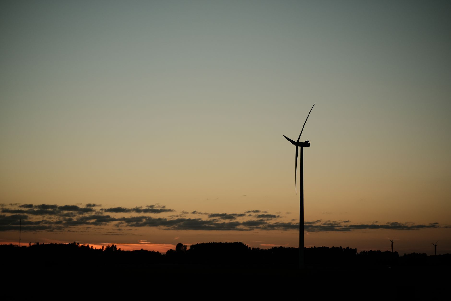 What's Going On With Tidewater Renewables Ltd Stock Tuesday?