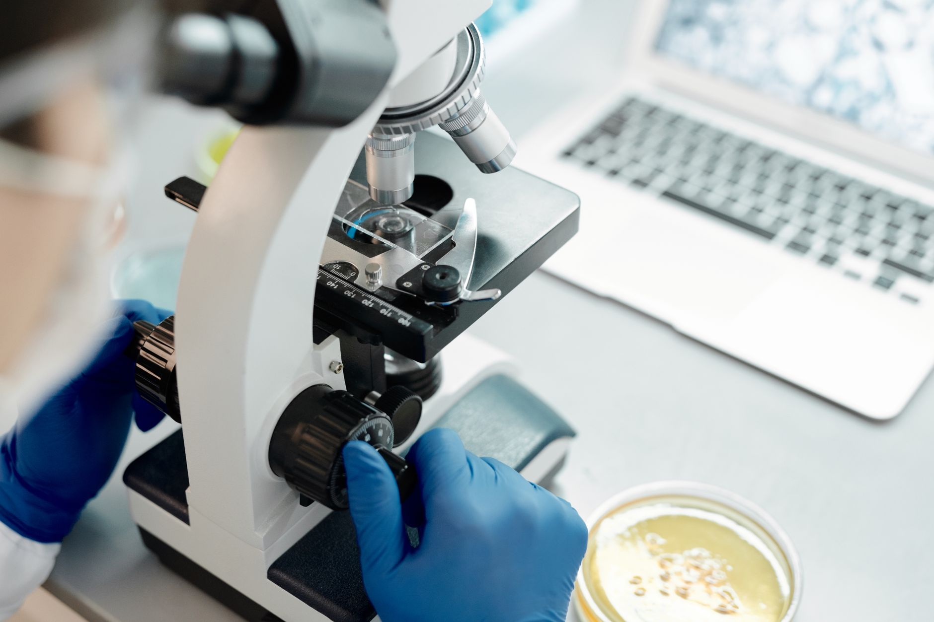 Why Medicenna Therapeutics Corp stock fell yesterday