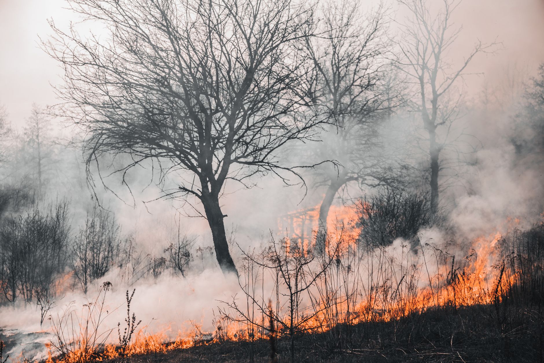 Why Wallbridge Mining Company Limited stock is plummeting today