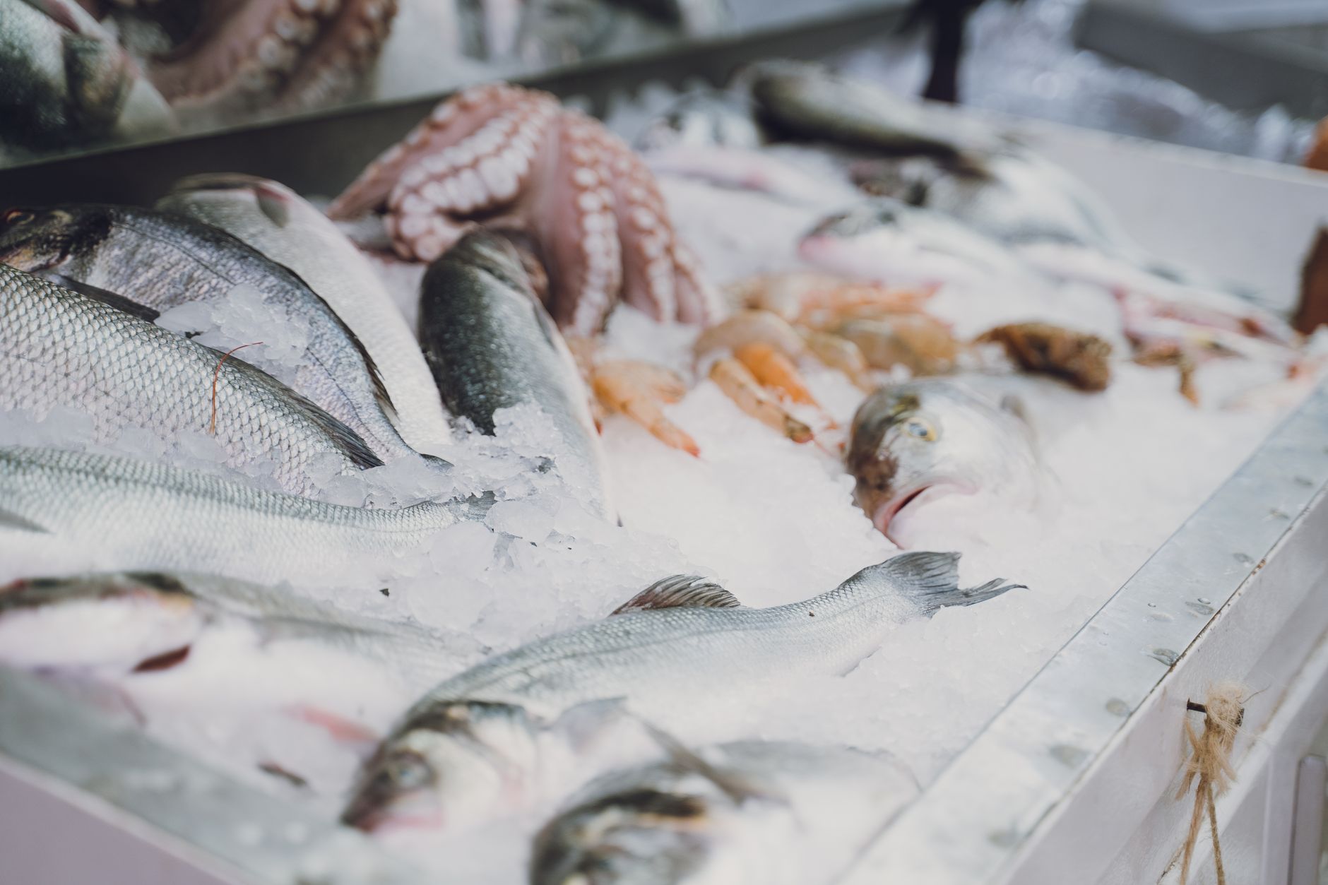 What's Going On With High Liner Foods Incorporated Stock Thursday?