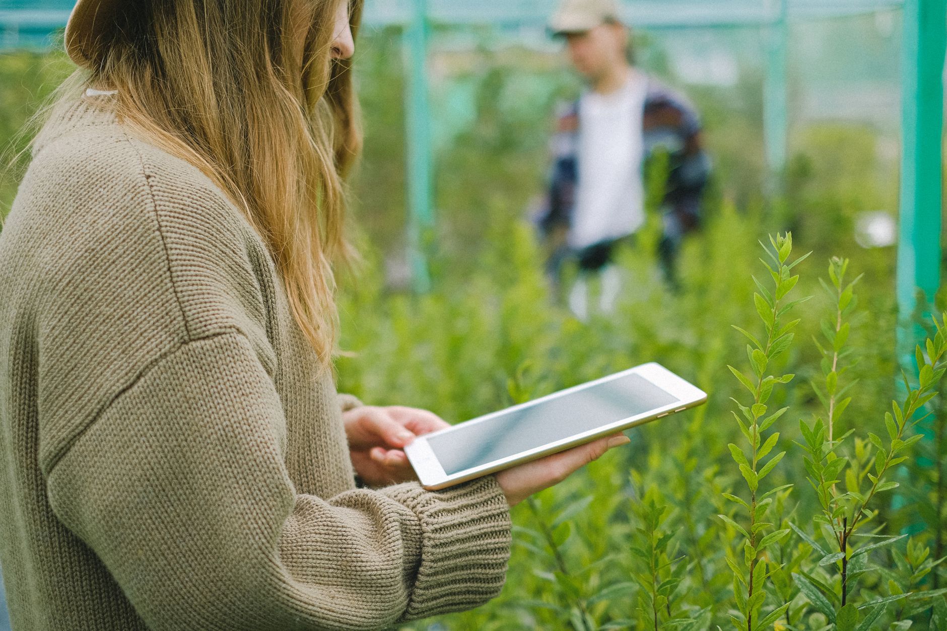 What's Going On With Clean Seed Capital Group Ltd. Stock Wednesday?