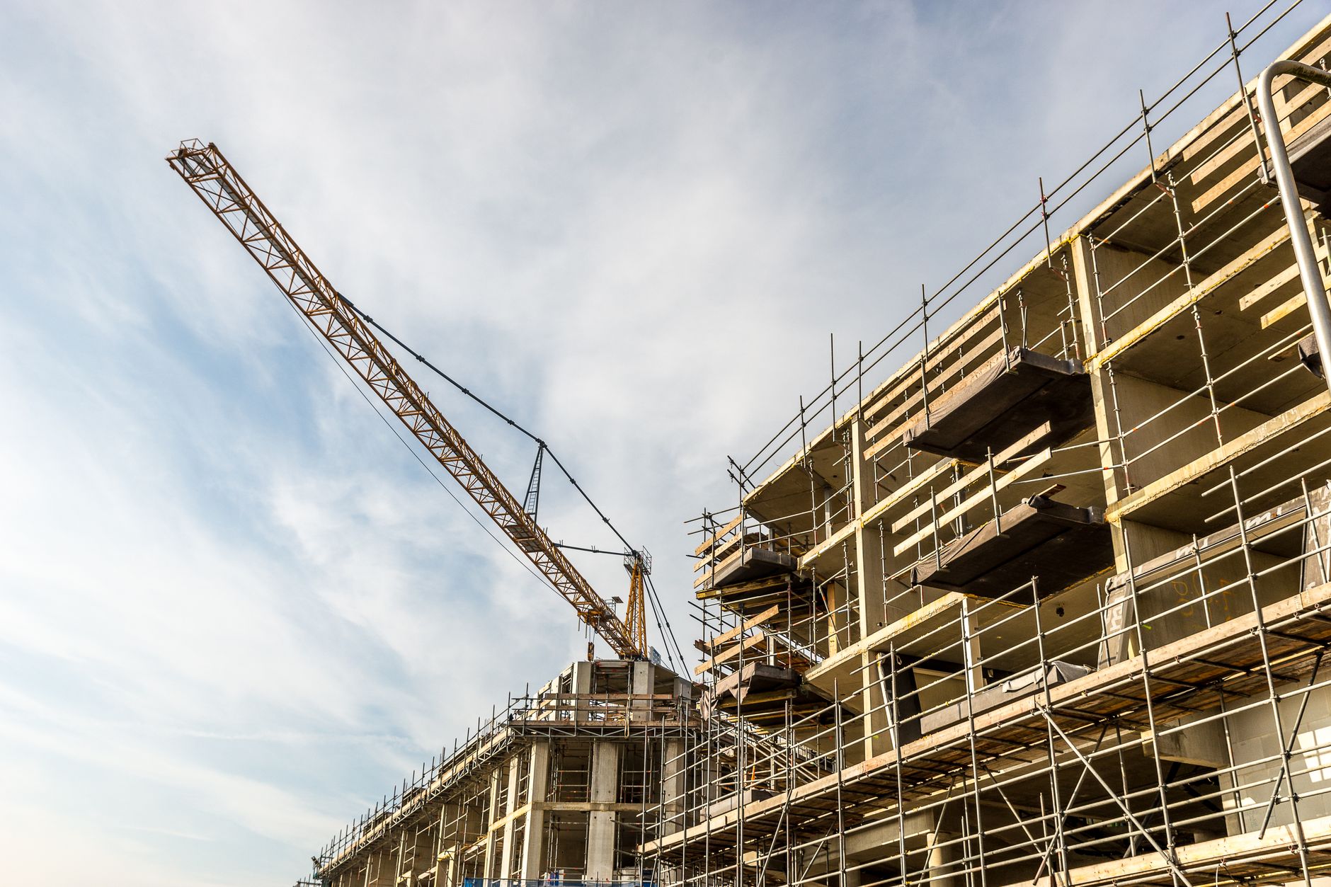Badger Infrastructure Solutions Ltd. (BDGI.TO) Faces 5% Drop This Week Amid Growth Investments