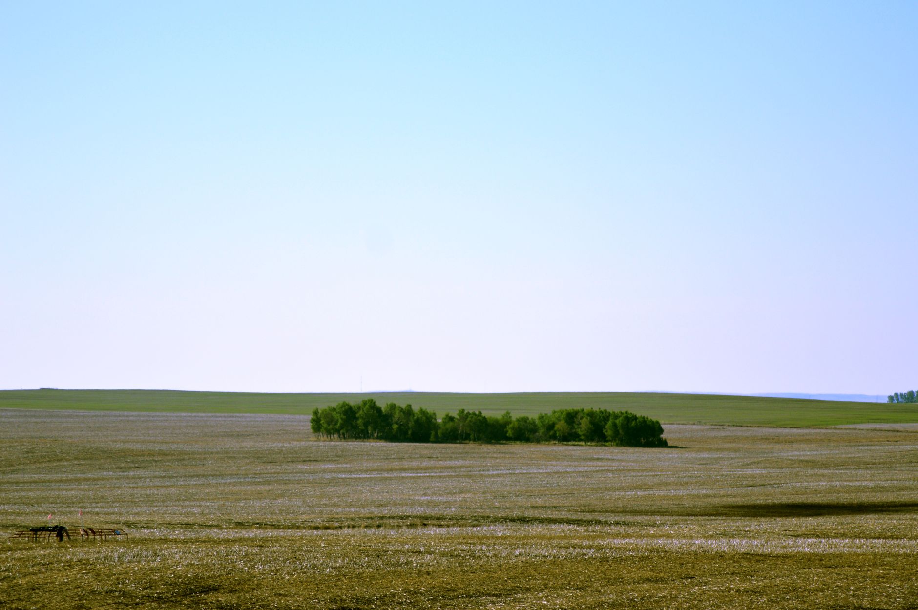 PSD Reports Earnings — What Canadian Investors Should Know