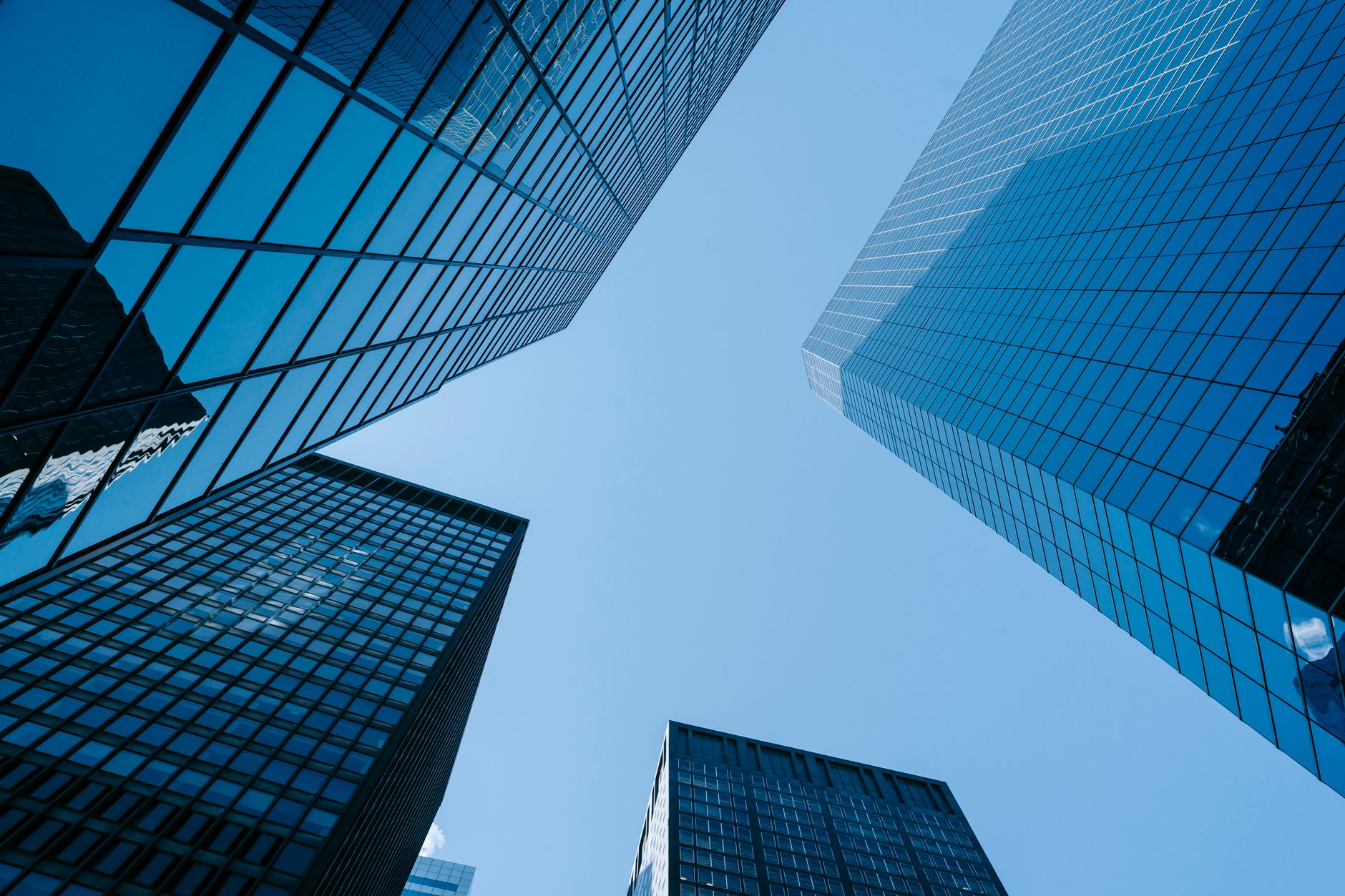 Why Real Matters Inc stock is near a 52-week low