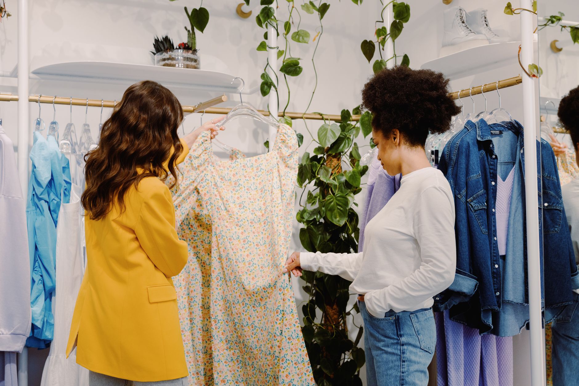 Why Aritzia Inc stock went up yesterday