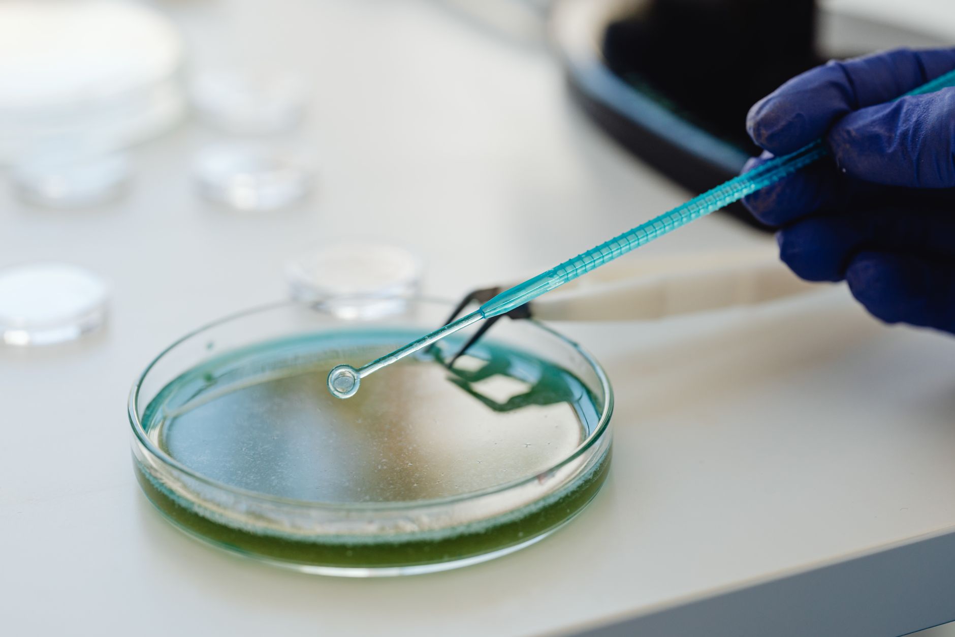 Why Medicenna Therapeutics Corp stock fell yesterday