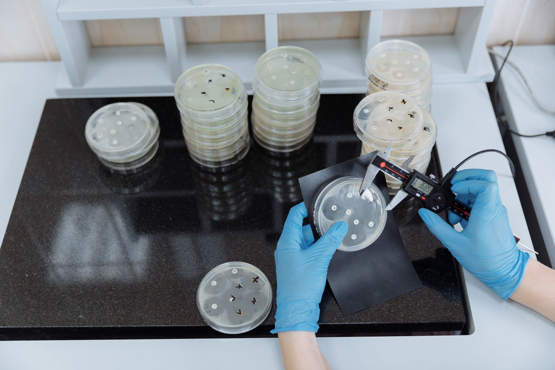 Why Briacell Therapeutics Corp stock is tanking today