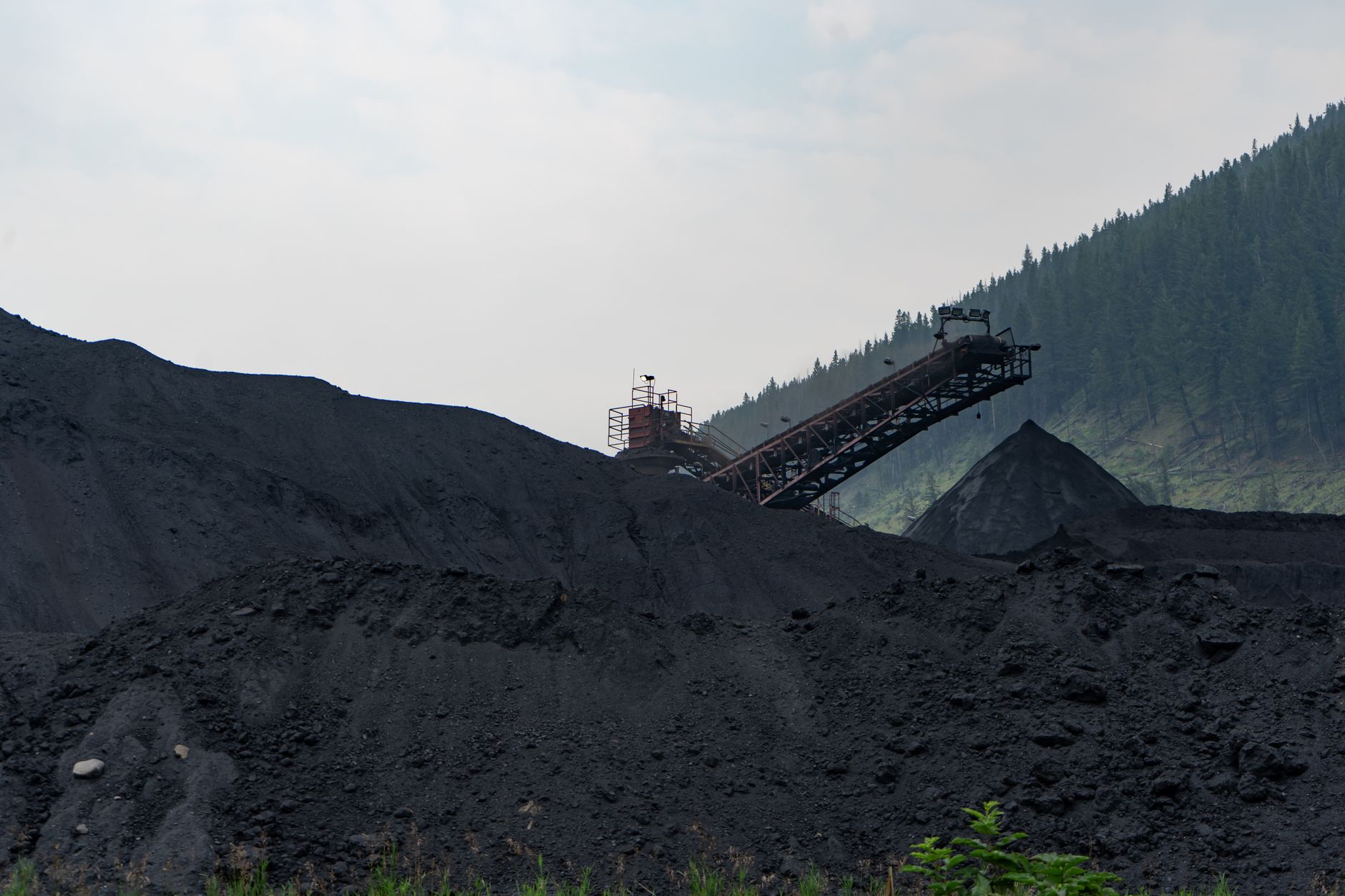 Amarc Resources Ltd. Insiders Sold 6.0k shares