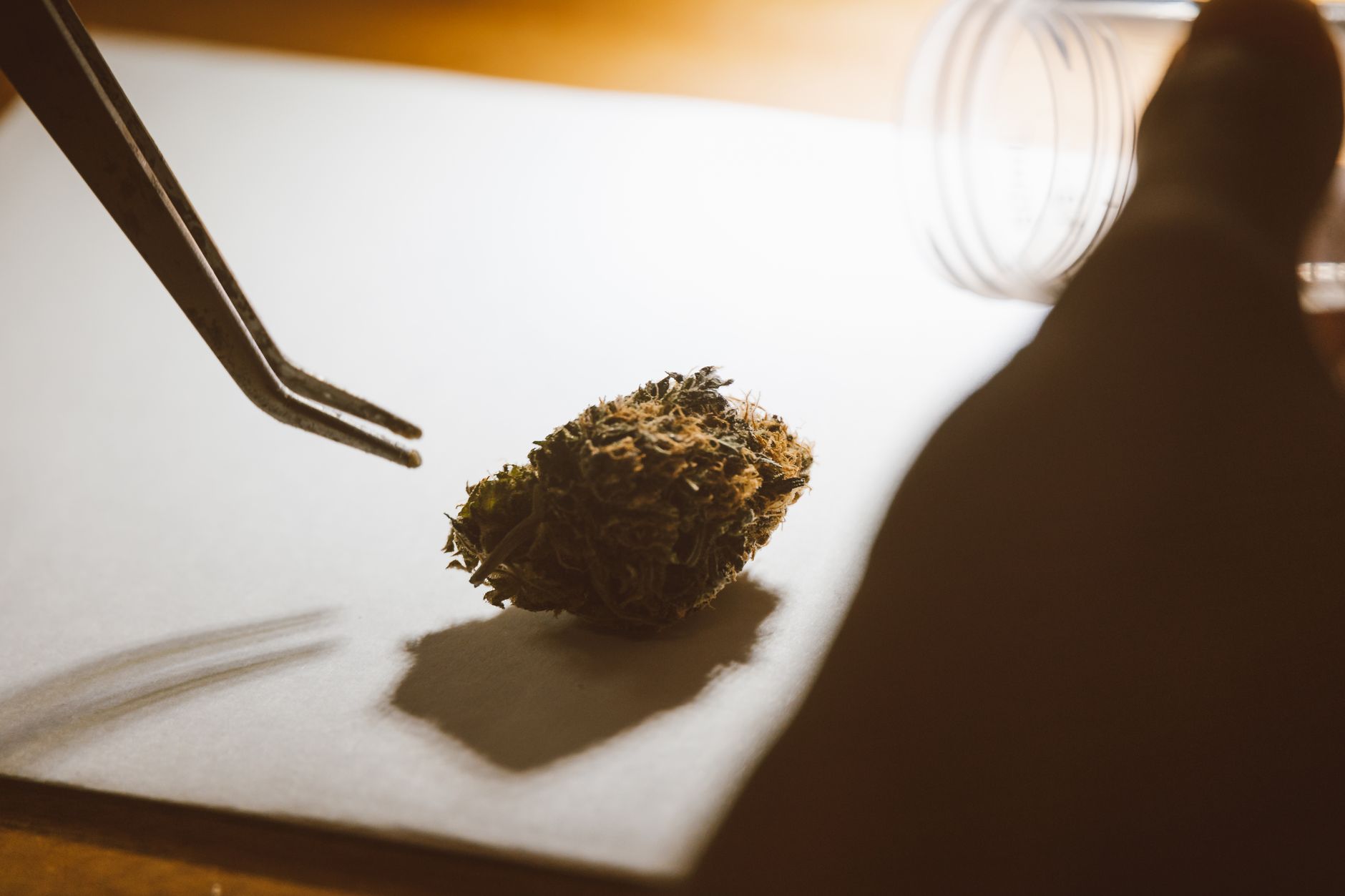Why Avicanna Inc stock surged yesterday