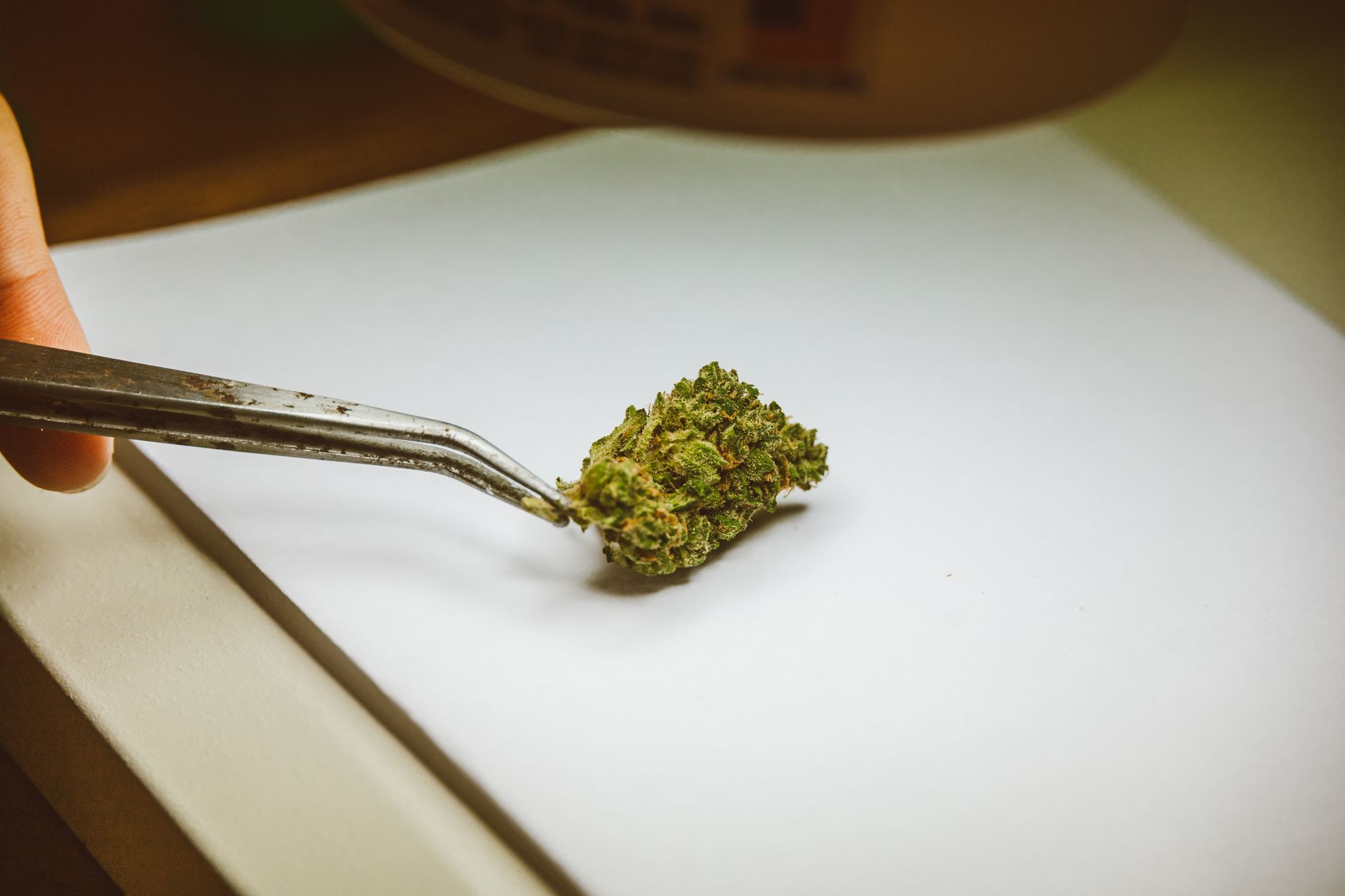 Why TerrAscend Corp. stock is skyrocketing today