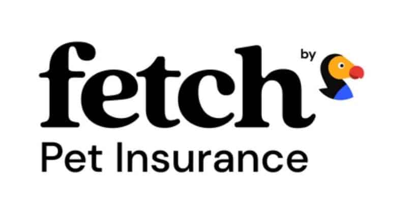 6 Best Pet Insurance In Canada Options (June 2026): Buy Peace of Mind