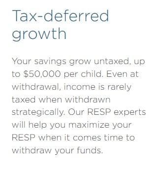 Knowledge First RESP Review 2026: Scam or Legit?