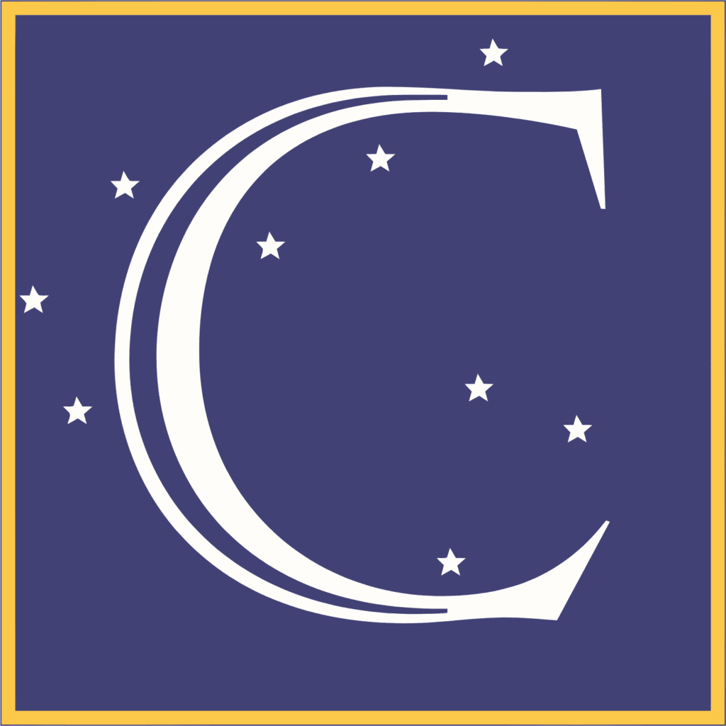 What is the salary of Constellation Software CEO?